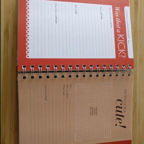 Pregnancy countdown Journal the Nine by Kelly sopp NWt health/wellness/diet book - Picture 8 of 9